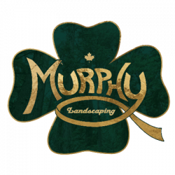 Murphy Logo Gold sq